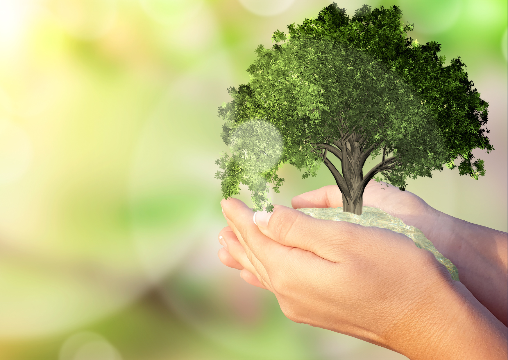 Zoom sur 3 hôpitaux de notre région œuvrant pour la biodiversité - Fédération Hospitalière de France, Région PACA