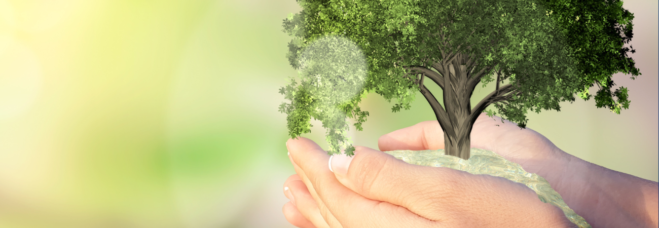 Fédération Hospitalière de France - Journée Internationale de la Biodiversité : les actions "vertes" de 3 établissements